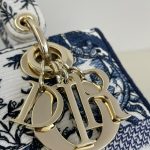 lady dior d lite blue zodiac 2