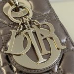 lady dior golden metallic abc 4