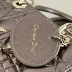 lady dior golden metallic abc 5