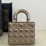 lady dior golden metallic abc 6