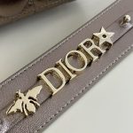 lady dior golden metallic abc 8