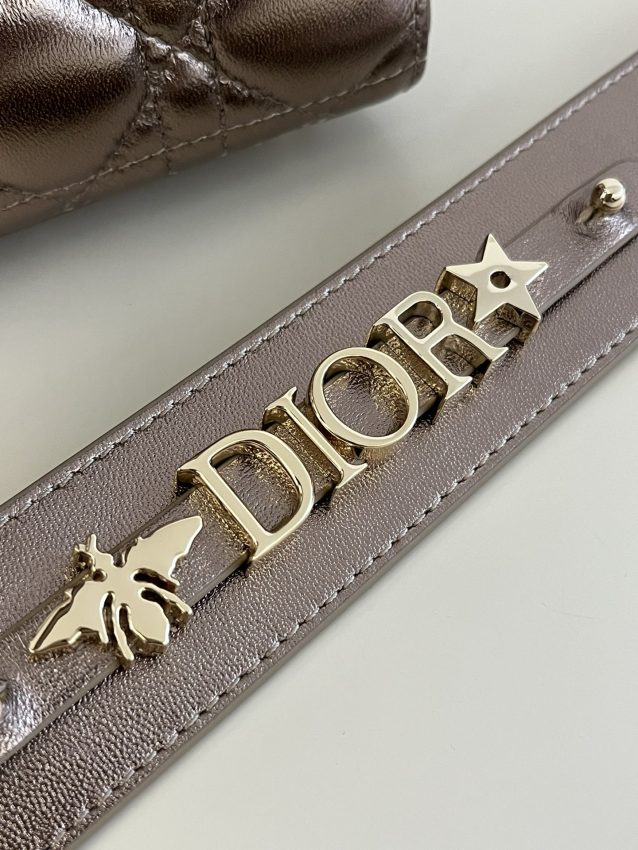 lady dior golden metallic abc 8