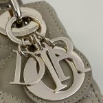 lady dior mini beige 5