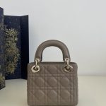 lady dior mini dark beige 3