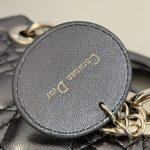 lady dior platinum metallic abc 2