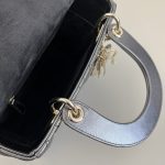 lady dior platinum metallic abc 3