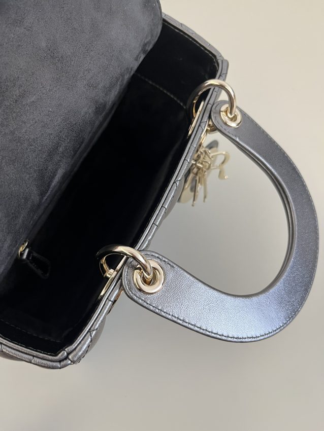 lady dior platinum metallic abc 3