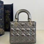 lady dior platinum metallic abc 4