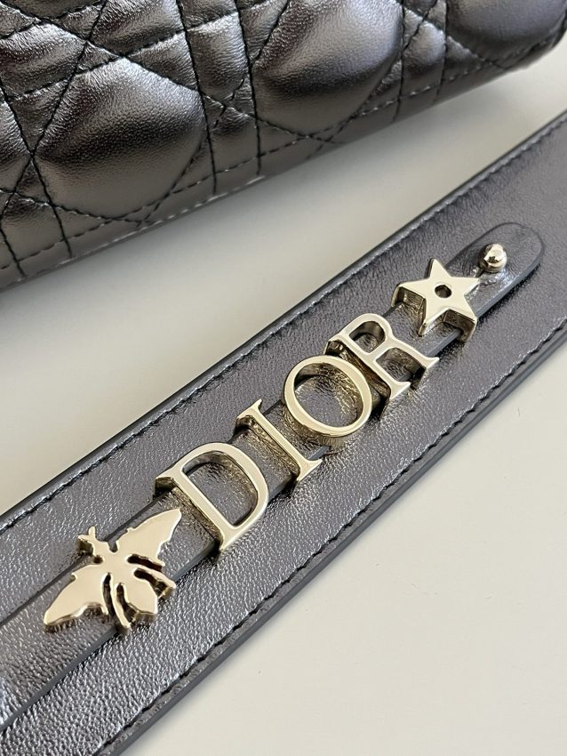 lady dior platinum metallic abc 9