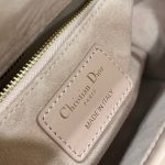 lady dior powered pink abc 6
