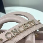 lady dior powered pink abc 9