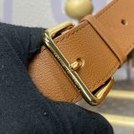 loius vuitton capucines brown large 2