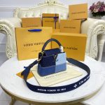 loius vuitton capucines denim 3