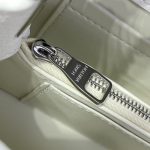 loius vuitton capucines east west white 4