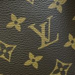 louis vuitton alma backpack monogram 5