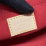 louis vuitton alma backpack monogram 9