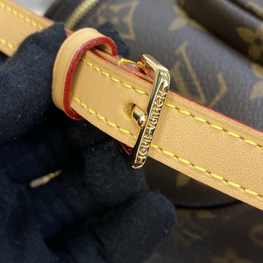 louis vuitton bumbag mini brown 4