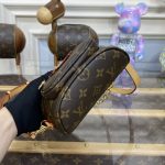 louis vuitton bumbag mini brown 5