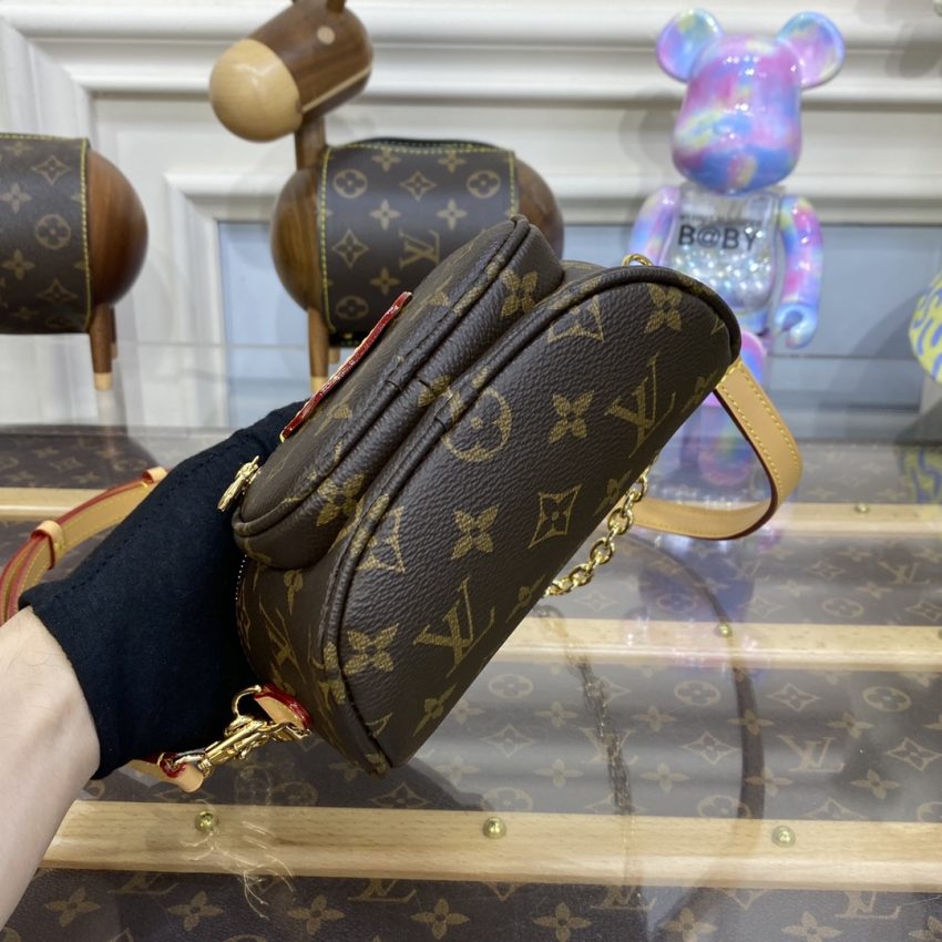louis vuitton bumbag mini brown 5