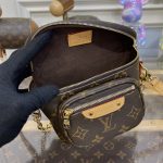 louis vuitton bumbag mini brown 6