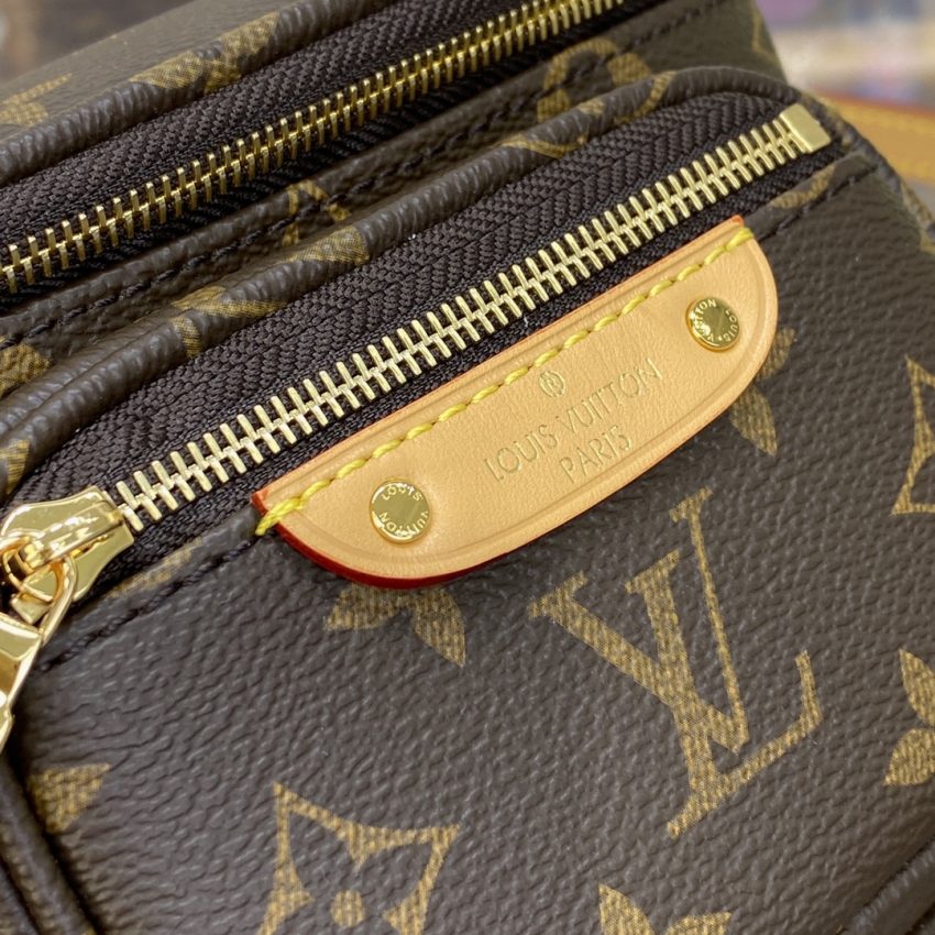 louis vuitton bumbag mini brown 8