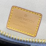 louis vuitton bumbag rush flower 6