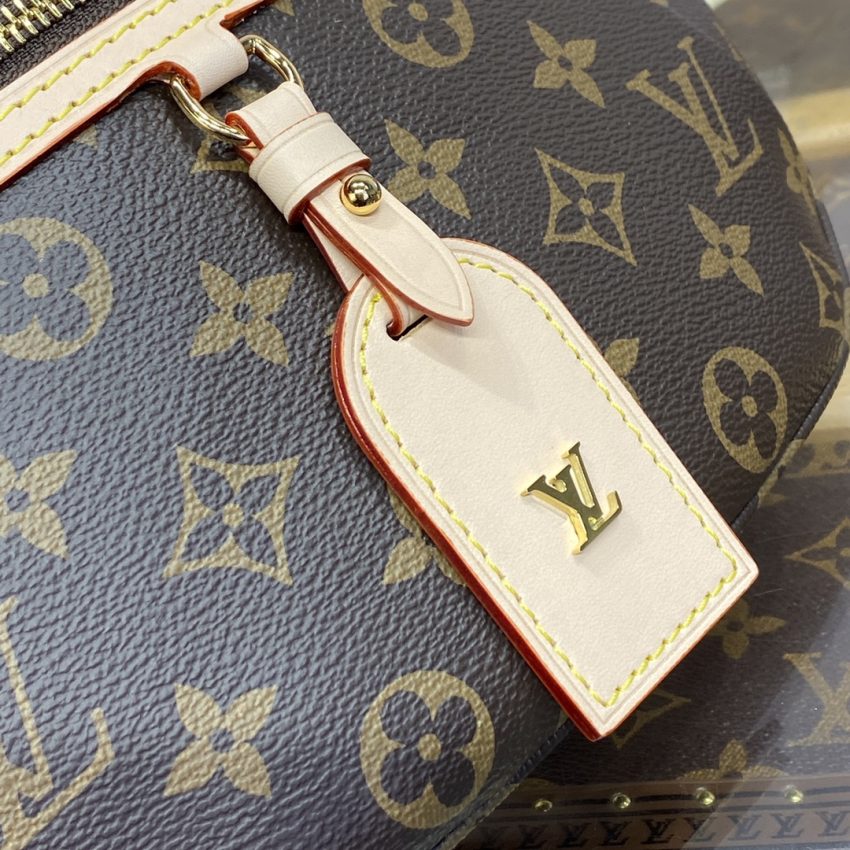 louis vuitton bumbag waist brown 6