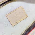 louis vuitton bumbag waist brown 7
