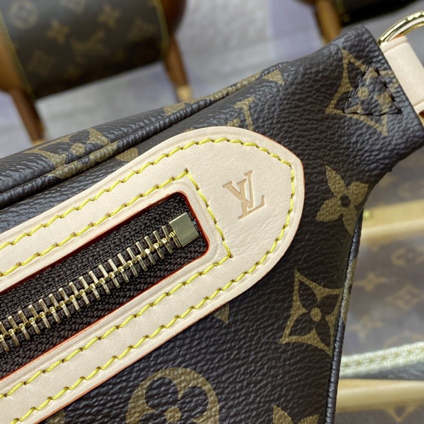 louis vuitton bumbag waist brown 8