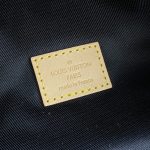 louis vuitton bumbag waist brown canvas 3