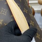 louis vuitton bumbag waist brown canvas 5