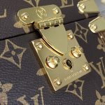 louis vuitton camera box brown classic 5