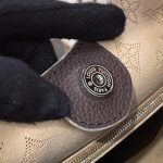 louis vuitton carmel brown 2