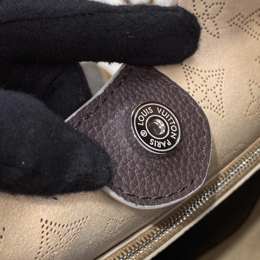 louis vuitton carmel brown 2
