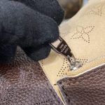 louis vuitton carmel brown 6