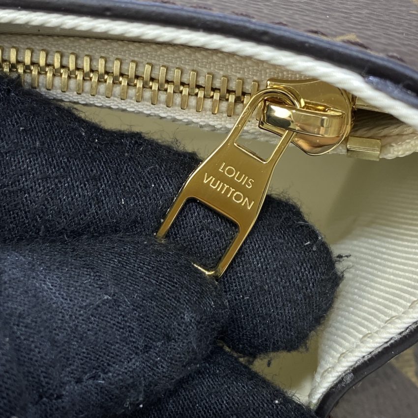 louis vuitton cluny mini brown 2