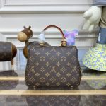 louis vuitton cluny mini brown 3