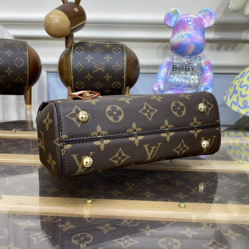 louis vuitton cluny mini brown 6