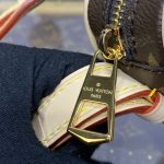 louis vuitton croissant brown 4