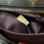 louis vuitton croissant brown 9
