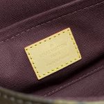 louis vuitton favorite brown 3