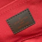louis vuitton favorite brown grid 4