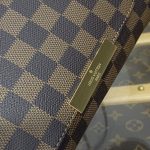 louis vuitton favorite brown grid 5