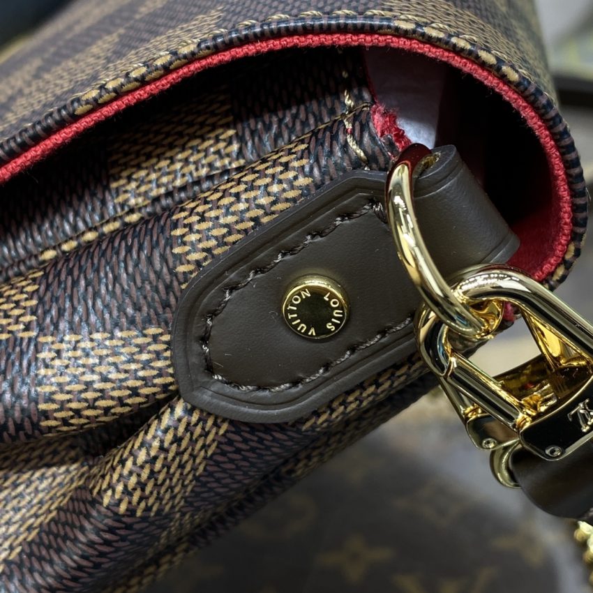louis vuitton favorite brown grid 6