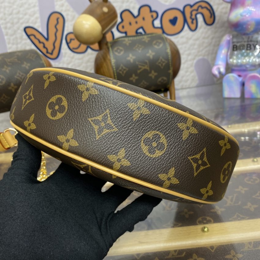 louis vuitton loop brown 2