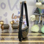 louis vuitton moon crossbody brown 6