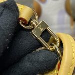 louis vuitton nano diane brown 2