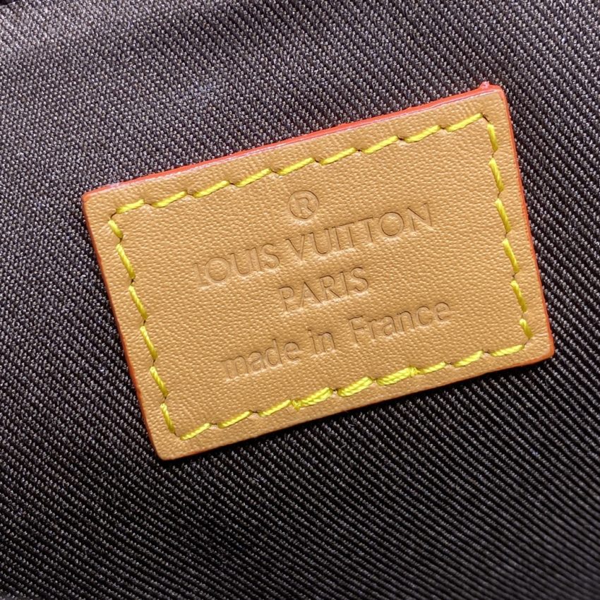 louis vuitton nano steamer brown 2