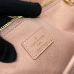 louis vuitton neverfull mm apricote 9