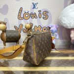louis vuitton pochette accessoires bag 10